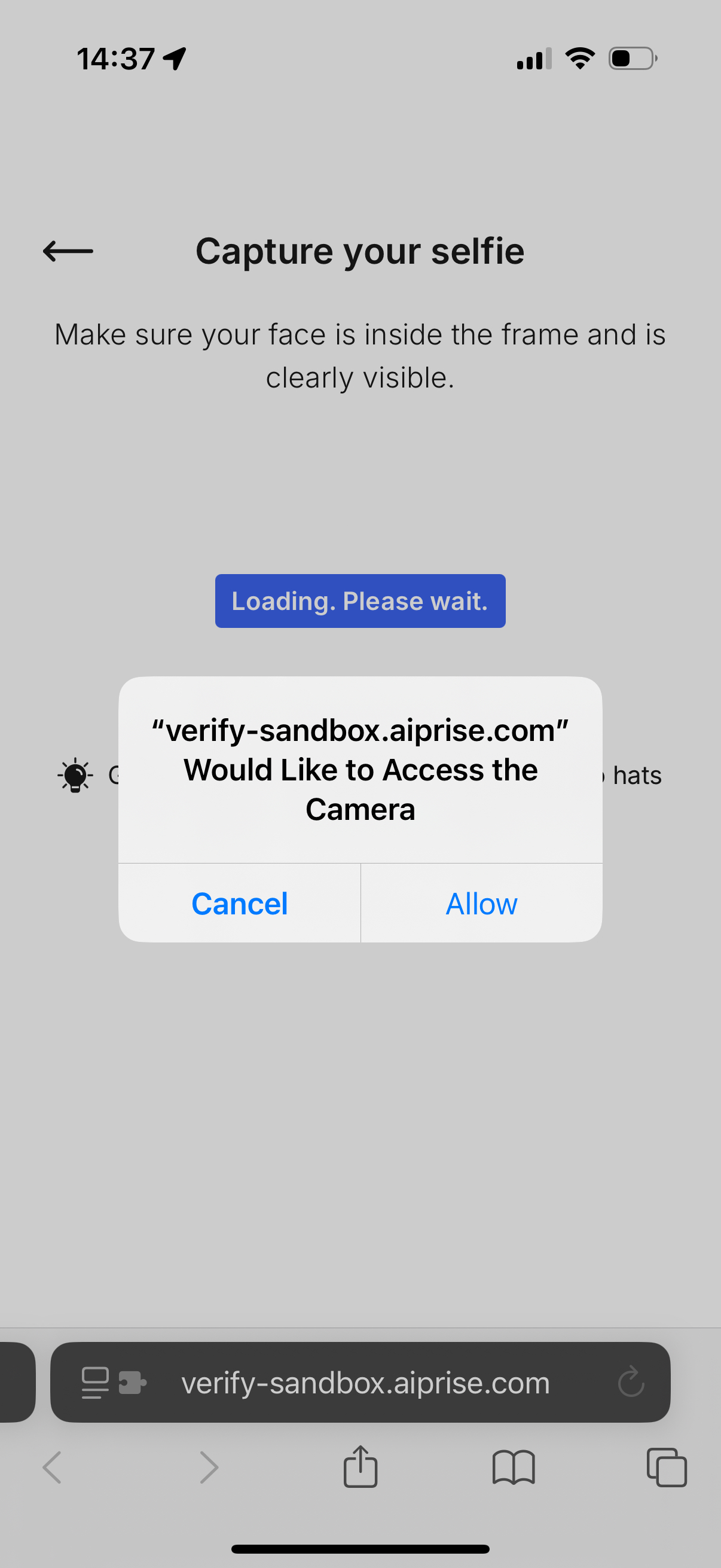 Allow camera access